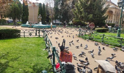 Eskişehir Reşadiye Camii önünde fotoğraf tutkunları için görsel şölen