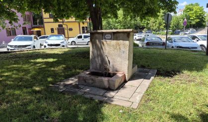 Eskişehir'de sıcaktan bunalıp, tarihi çeşmeyi mesken tuttu!