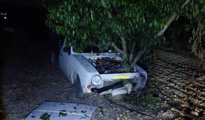 Araç bahçeye uçtu, ağaca çarparak durdu!
