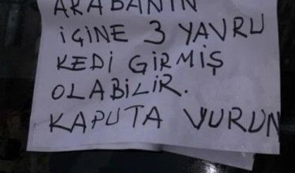 Eskişehir'de araca bırakılan not can dostları kurtardı!