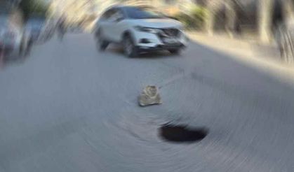 Eskişehir'de bu sokaktan geçerken aman dikkat!