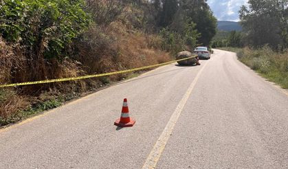 Yamaçtan kopan dev kaya köy yolunu ulaşıma kapattı!
