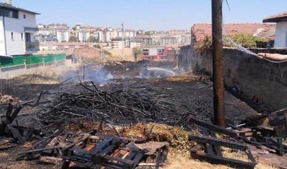 Eskişehir'de düşen sigara yine bahçeyi yaktı!