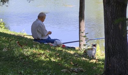 Akıllı kedi, balık keyfine ortak oldu!