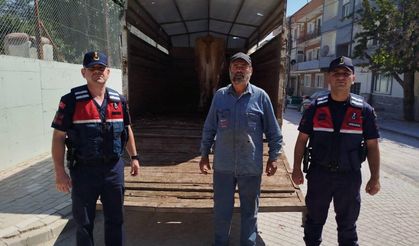 Eskişehir'deki araziden çalınan büyükbaş Bilecik'te bulundu!