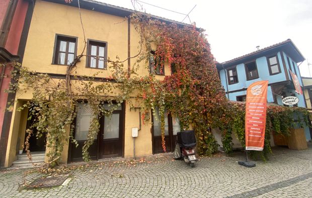 Eskişehir'de sonbahar renkleri her yeri sardı!