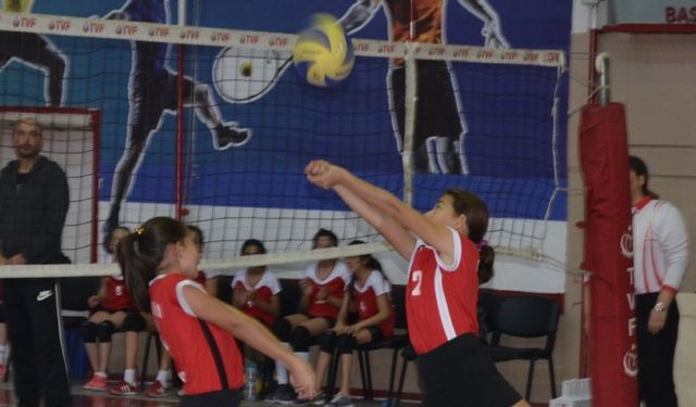 Filede mücadele başlıyor