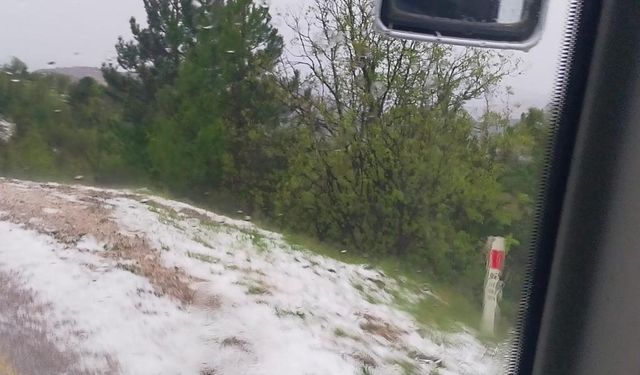 Mihalıççık’ta dolu yağışı tarım arazilerine zarar verdi