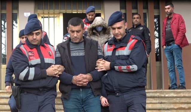 Bilecik’te yaşanan köpek katliamında 4 tutuklama