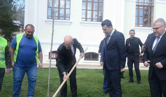 Hazine ve Maliye Bakanı Mehmet Şimşek Bilecik’te çınar fidesi dikti