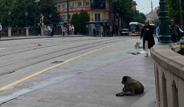 Eskişehir'de yağmur nedeniyle sokaklar boş kaldı