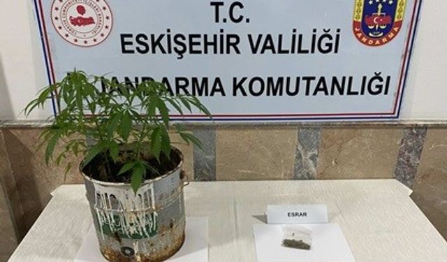 Eskişehir'de 9 farklı uyuşturucu operasyonu!