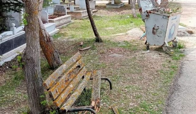 Eskişehir'de magandaların son adresi mezarlık oldu!