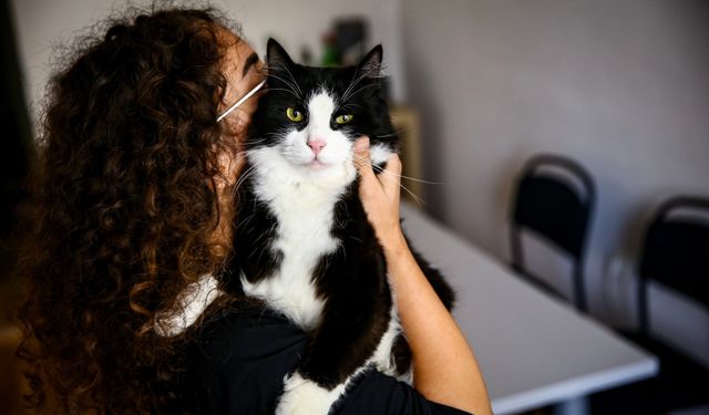 Kedi ve köpek sahipleri son tarih 31 Aralık!