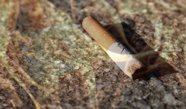 Eskişehirli esnaftan izmaritlere karşı dikkat çeken çözüm