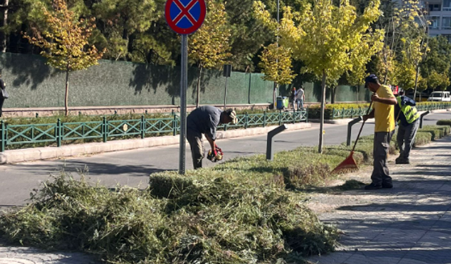 Eskişehir'de sonbahar temizliği başladı