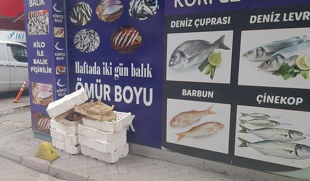 Eskişehir'de balık dükkanlarındaki kötü koku dikkat çekti