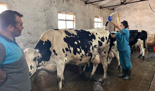 Eskişehir İl Tarım ve Orman Müdürlüğü'nden hayvancılıkta sağlık hamlesi!