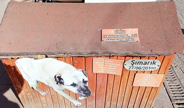 Eskişehir'de bir köpek kulübesindeki not dikkat çekti