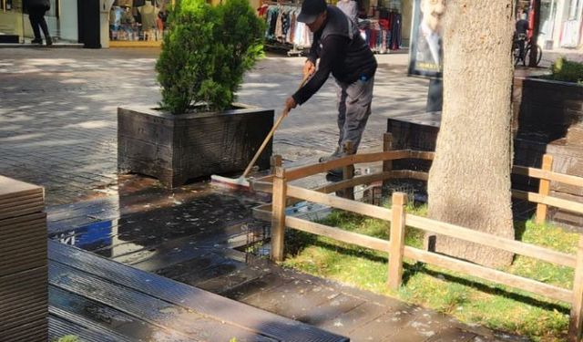 Eskişehir'de parklar yıkanarak temizlendi