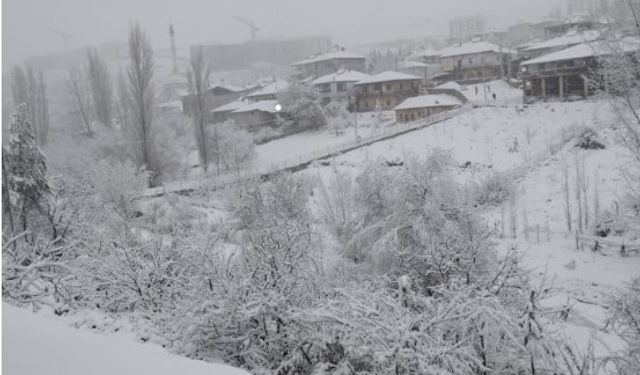 Adana'daki yağış çiftçiyi mutlu etti!