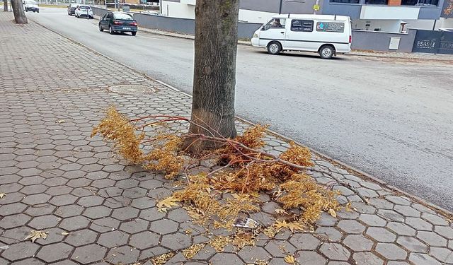 Eskişehir'de sonbaharın izleri trafiği etkiledi