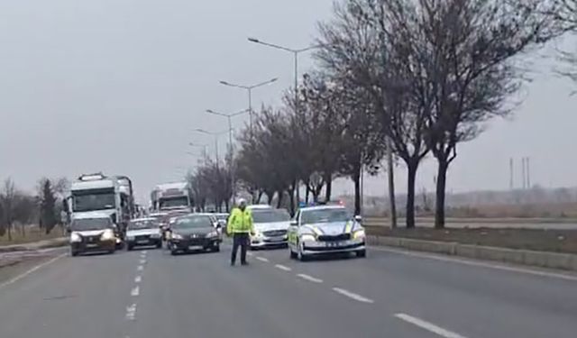 Eskişehir'de yaralı halde bulundu, trafik durduruldu!