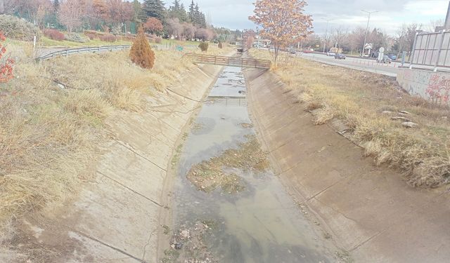 Eskişehir'e yakışmayan manzara! O mahallede kokudan durulmuyor...