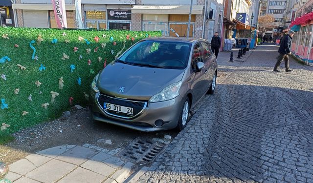 Eskişehir'deki park ihlali sorununa çözümler bekleniyor