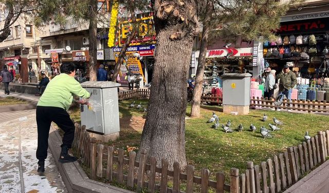 Eskişehir'de kuşları unutmayan vatandaş gülümsetti