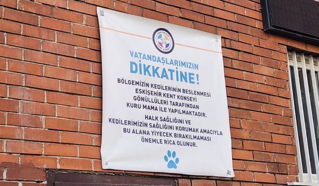 Eskişehir Kent Konseyi'nde sokak kedileri için önemli uyarı