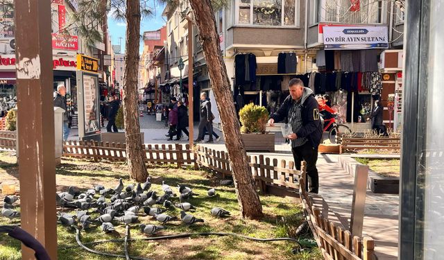 Eskişehir'de güvercinlerin beslenmesi takdir topluyor