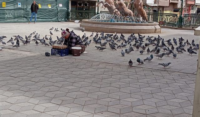 Eskişehir'de güvercin yemi 20 TL'ye satılıyor