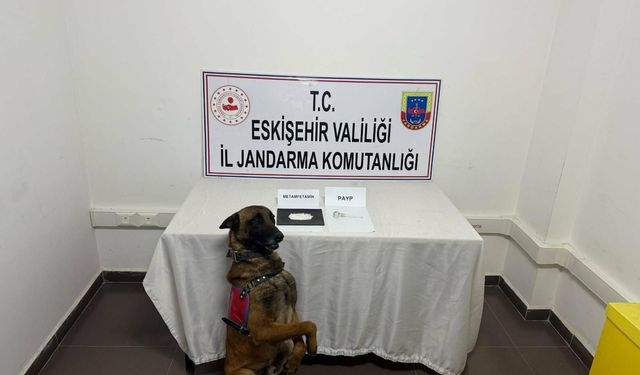 Beylikova'ya zehir ticaretine Jandarma'dan baskın!