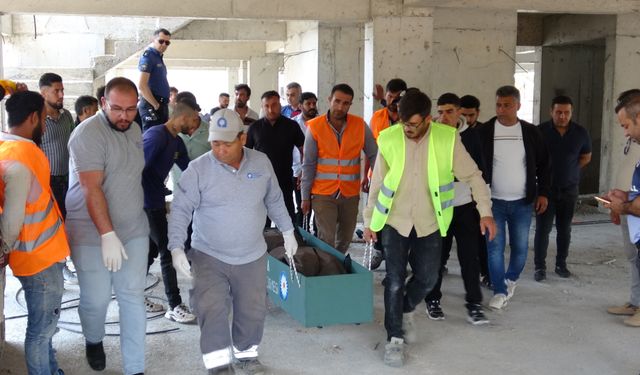 İlk iş gününde hayatını kaybetti!