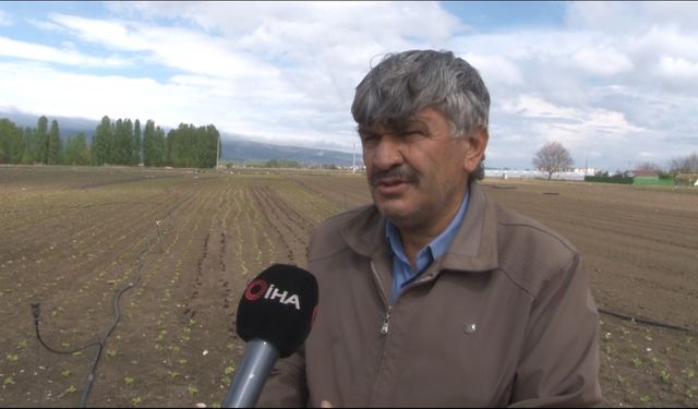 Eskişehir'deki kuraklık hem çiftçiyi hem de fiyatları vurdu!