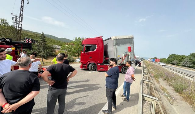 Arı saldırısı trafiği durdurdu!