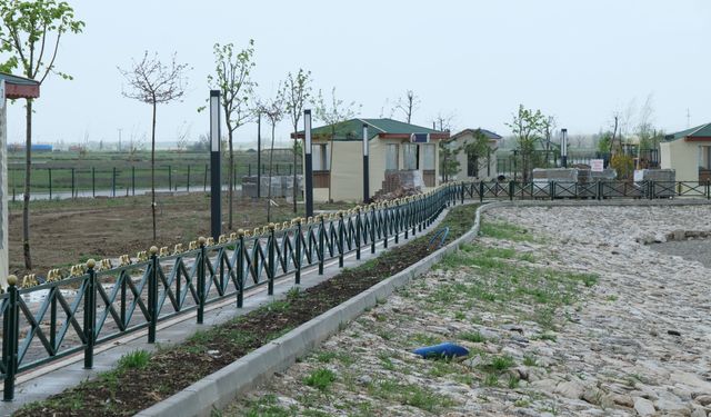 Büyükşehir’den Mahmudiye’ye yeşil dokunuş