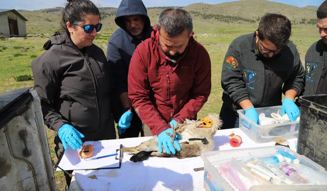 Eskişehir’den Afrika’ya uçtu: Tam 3 yıl sonra yeniden