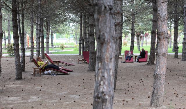 Eskişehir Aktif Yaşam Parkı'na hangi otobüsler gidiyor?