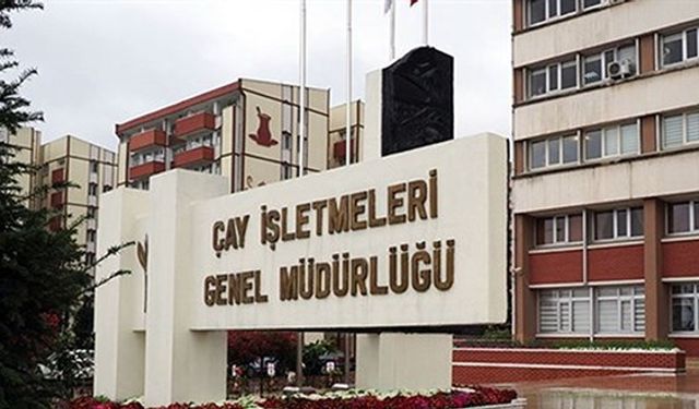 Çay İşletmeleri Genel Müdürlüğü 1500 işçi alacak! Başvuru için son günler