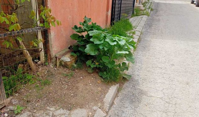 Eskişehir'in kaldırımlarına acil bakım şart!