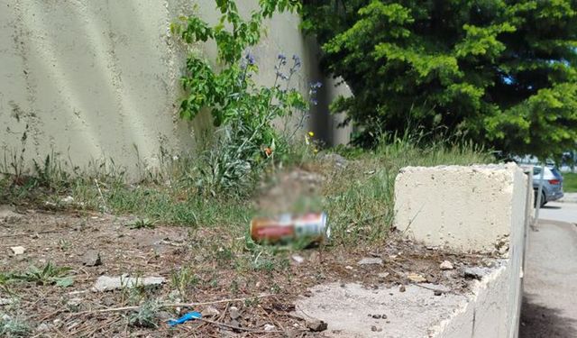 Tepki çeken görüntü: Burası Eskişehir'de bir okulun bahçesi