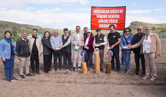 Eskişehir’in meşhur lezzetinin ekimine başlandı!