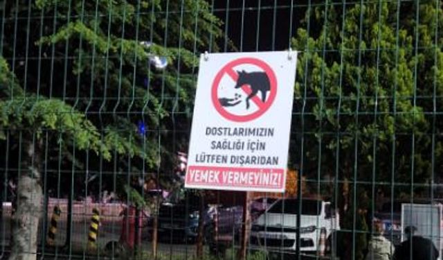 Eskişehir’de hayvan sağlığı için besleme uyarısı