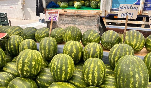 Karpuz Eskişehir tezgahlarında yerini aldı: İşte fiyatı