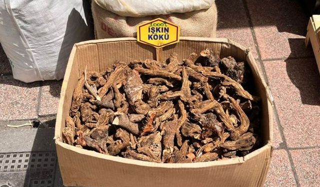 Eskişehir'de şifa niyetine satılıyor ama fiyatı altınla yarışıyor
