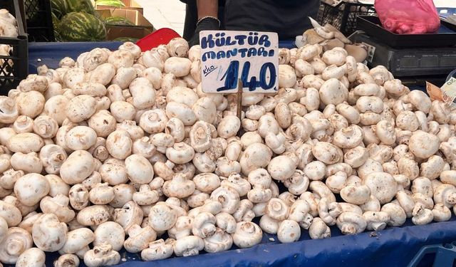 Eskişehir'de kültür mantarının kilosu fırladı