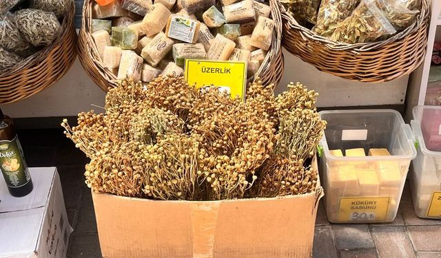 Eskişehir'in yeni gözdesi oldu: Her derde deva