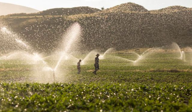 Zorlu Enerji’den çiftçilere kolaylık: Abonelik ve ödeme artık...